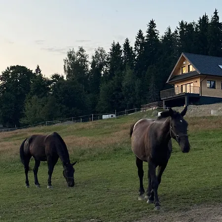 Nyaraló De-luxe Buflak *