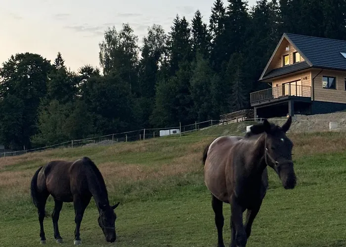 Holiday home De-luxe Buflak *